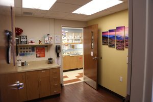 Veterinarian Appointments